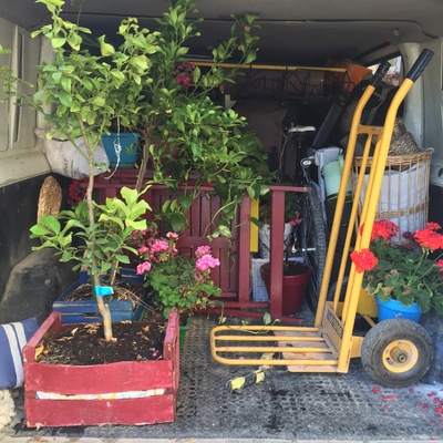 Traslado de plantas y enseres delicados 