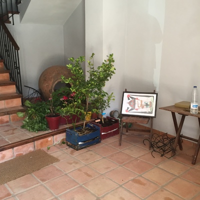 Rápido y con confianza 