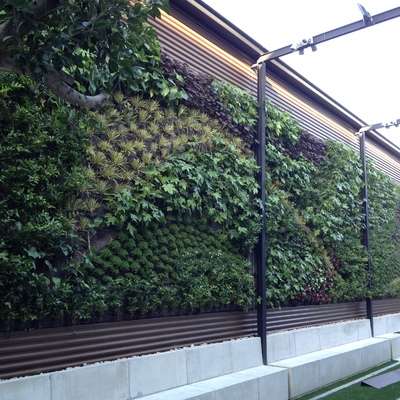 INDALO BANQUETA, SALONES PETRER