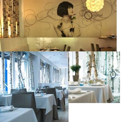 RESTAURANTE DE DISEÑO EL ORIGINAL