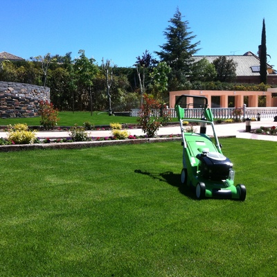 Primera siega de césped en Planchas