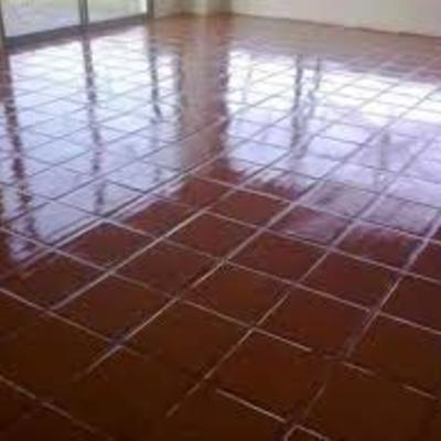 Vitrificado