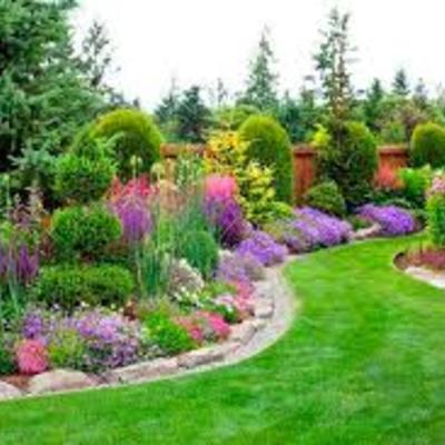 mantenimeinto de jardines
