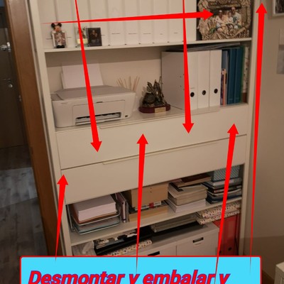 Descripción del artículo