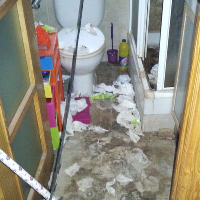 Sindrome de diogenes