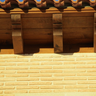 Detalle voladizo canecillos