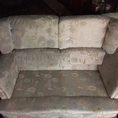 Limpieza de sofa adamascado 