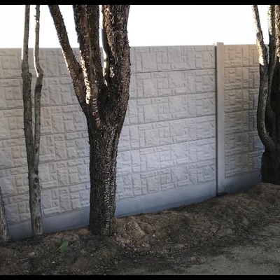 Construcción de muros y cercados