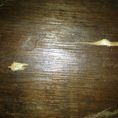 ATAQUE CARCOM GRANDE (HYLOTRUPES)