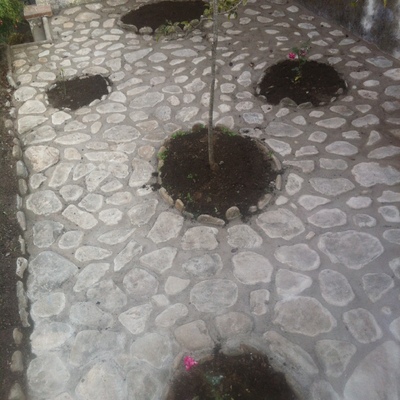 PAVIMENTO DE PIEDRA EN JARDIN