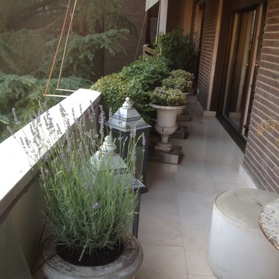 Terraza provenzal Madrid 2