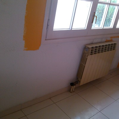 ANTES DE PINTAR