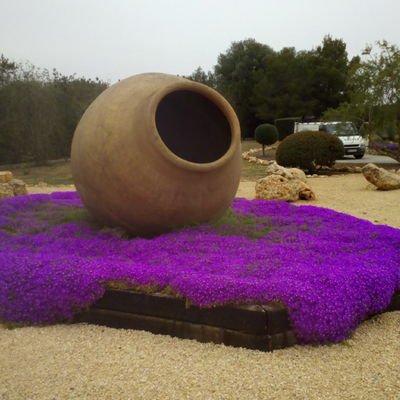Centro de tinaja con Mesen florecido