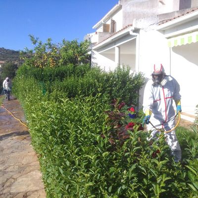 Fumigación para el control de mosquitos.