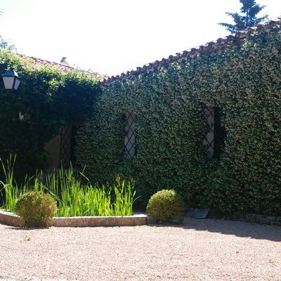 Fresh Garden Jardinería en Torrelodones