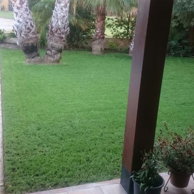 Mantenimiento particular