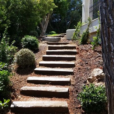 escalones de vía de tren plantas y decoracion