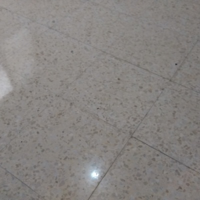 ABRILLANTADO DE SUELO DE TERRAZO
