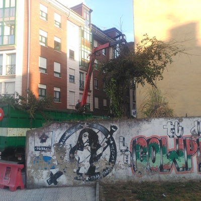 Limpieza de parcela cerrada