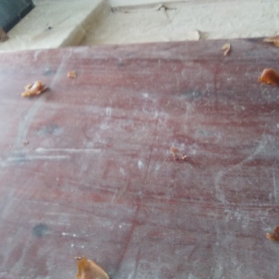 EMPEZANDO EL TRABAJO DE DECAPADO