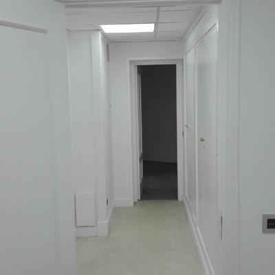 Pintura plastica blanca