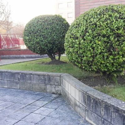 Decoración en Comunidades de Vecinos