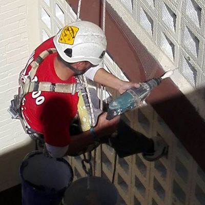 Colocación mallas antiaves 