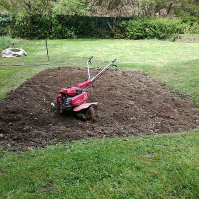 Preparando el terreno para la Huerta