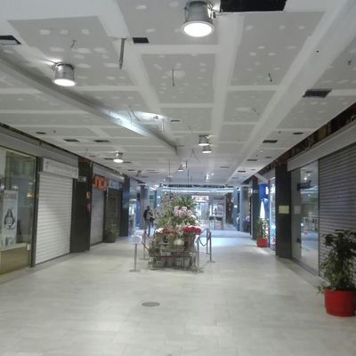 Techo curvo de madera I fase