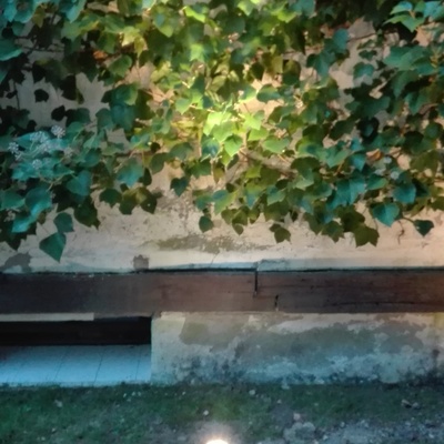 Iluminación led en jardín.