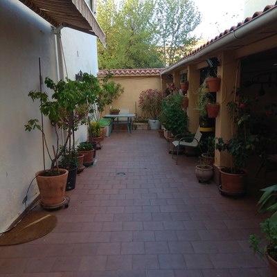 MANTENIMIENTO DE PATIO