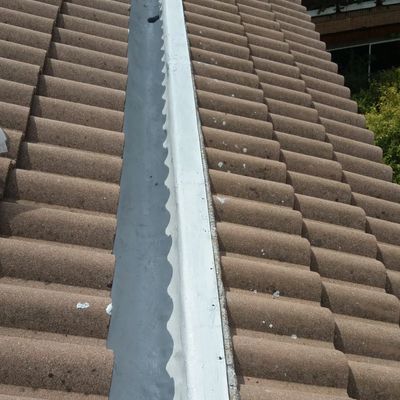 Impermeabilización de canalón en mal estado