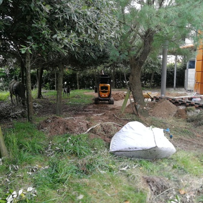 Diseño de jardines (antes)