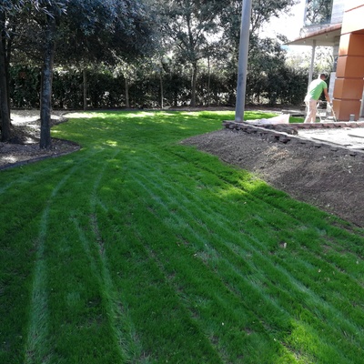 Diseño de jardines (después)