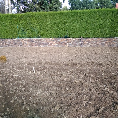 Preparado de terreno para césped.