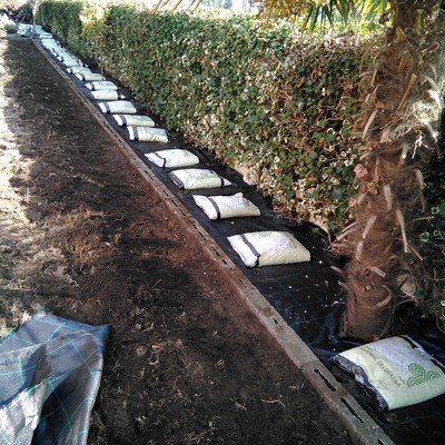 Preparación firme de jardineras.