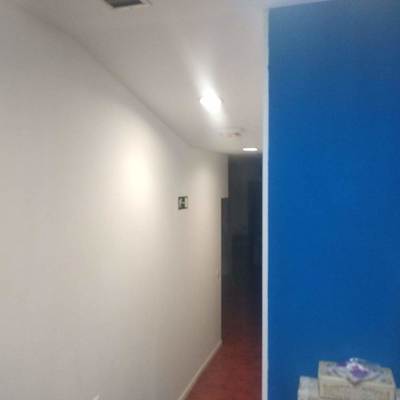 Pintura de un de un departamento del local en Azul electrico