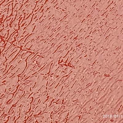 areglar y impermeabilizar terraza