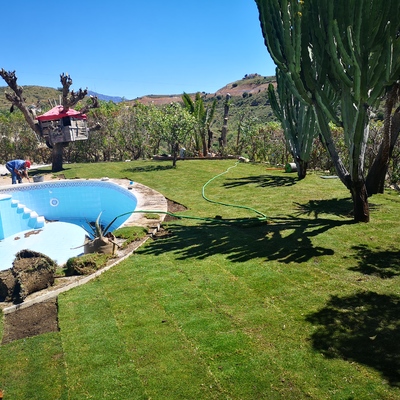 Tepes naturales Mijas