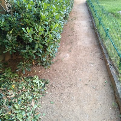 Parques y Jardines de la Comunidad de Vecinos.