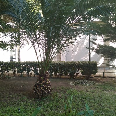 Parques y Jardines Comunidad Vecinos.