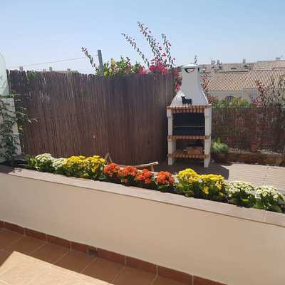 Arreglo de jardinera    benalmadena  12/3/2019