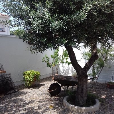 Treball de pintura exterior.