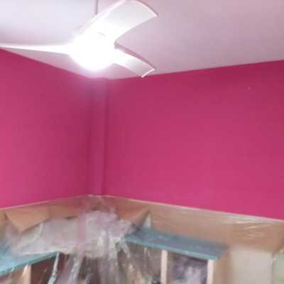 Liso en rosa habitación