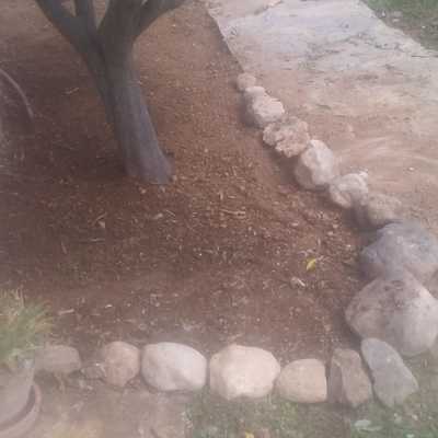 Camino piedra
