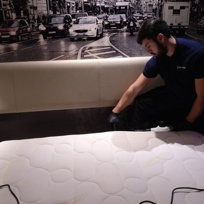 Tratamientos contra chinches