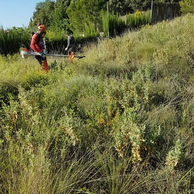 Limpieza de parcelas