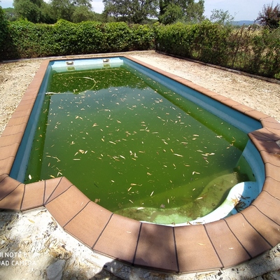 Coronación de piscina con gres Brancós