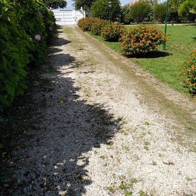 limpieza