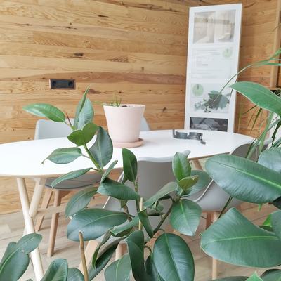 Reforma de nuestra oficina